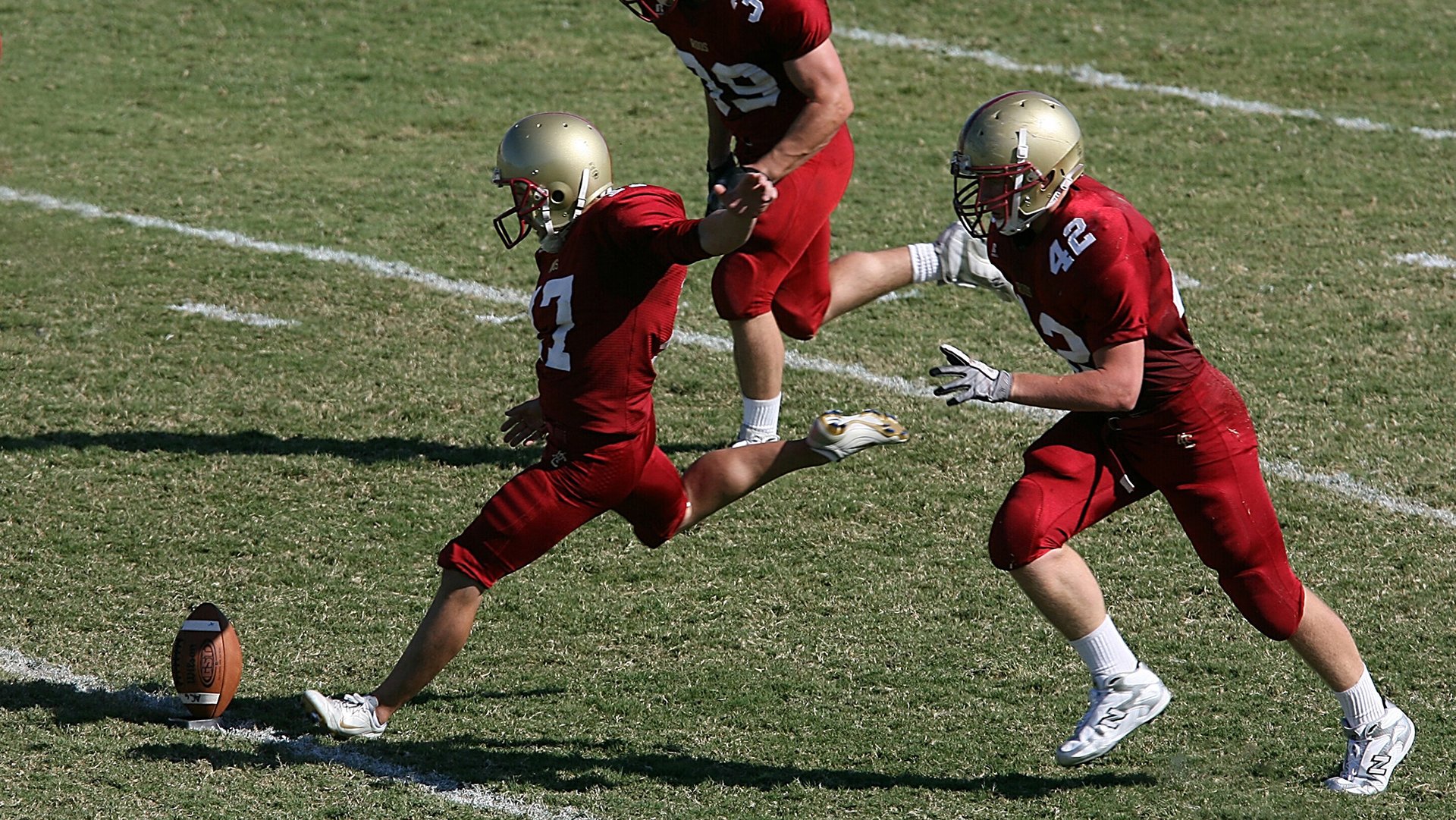 体育赛事观众数据报告