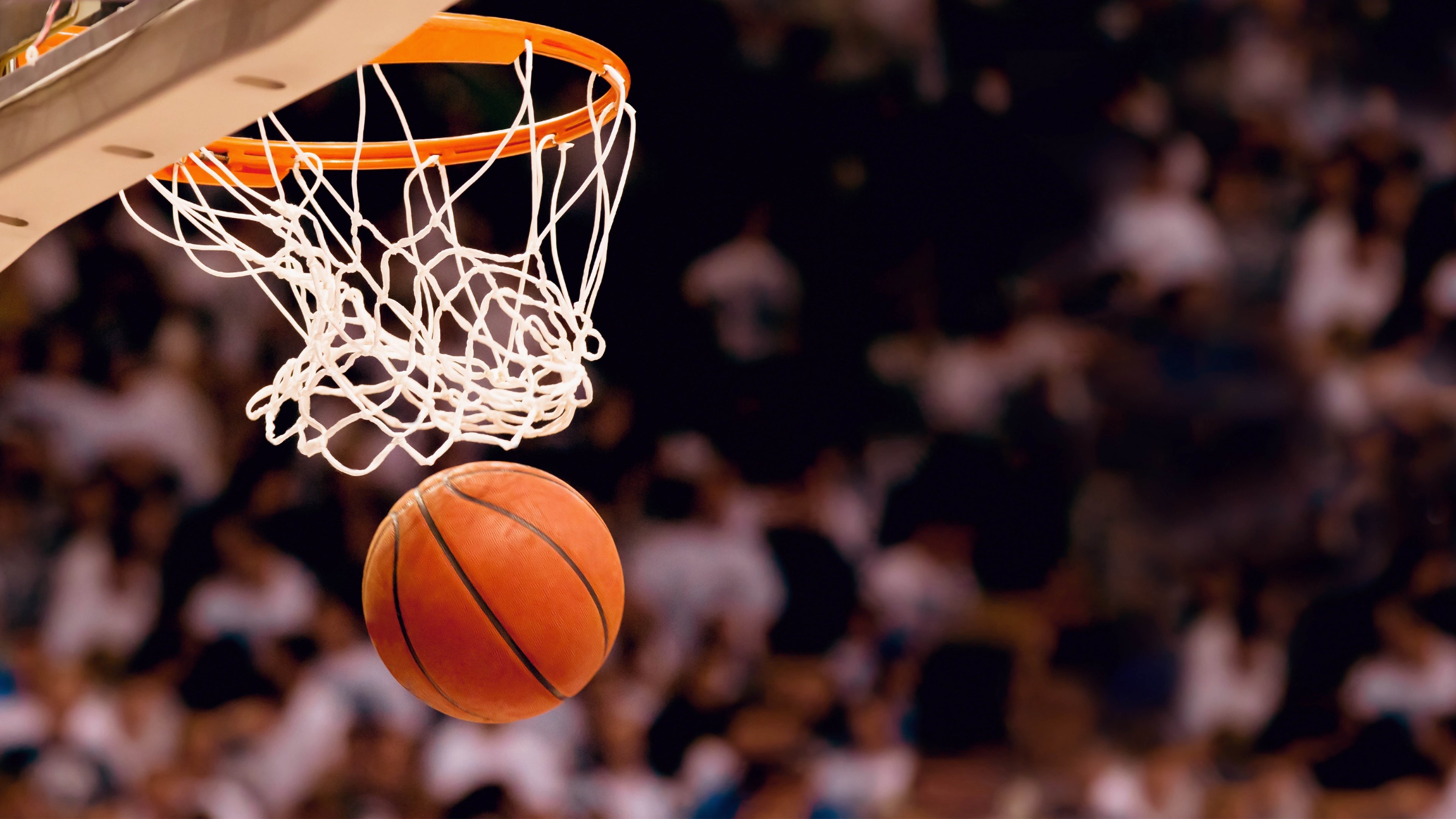 世界保龄球高校联赛青训人才库年度更新与推荐发布，保龄球国际比赛
